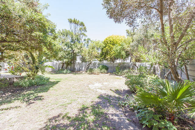 Garden from bin gate area