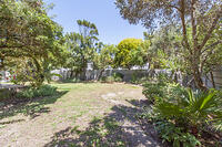 Garden from bin area 2