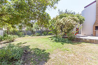 Garden from washline corner